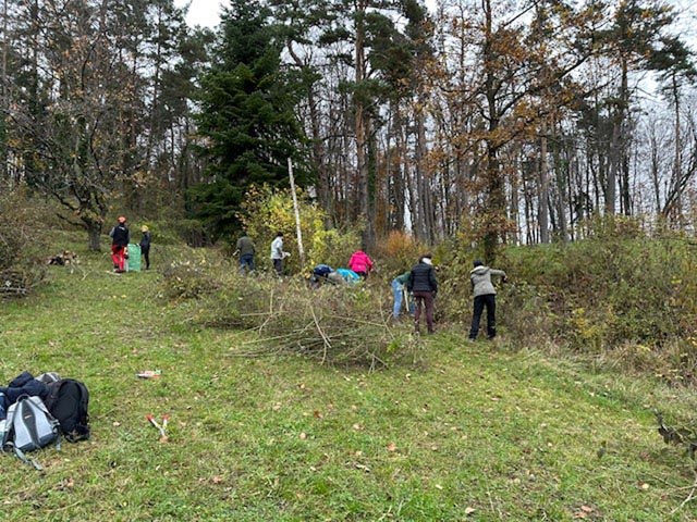 Raiffeisenbank Regio Frick-Mettauertal packt an