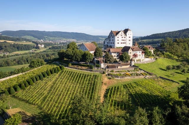 Die Saisoneröffnung von Museum Aargau findet auf Schloss Wildegg statt, das neu einen Rebpfad bietet. Foto: Museum Aargau