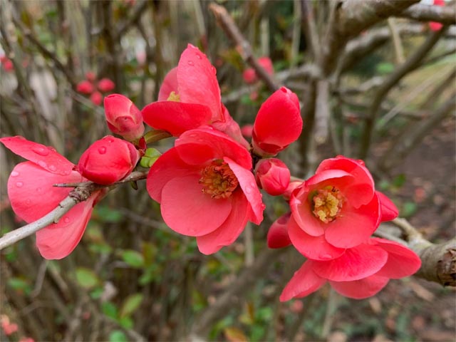 Foto: Margrit Freudemann