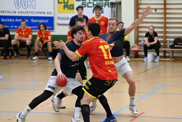 TV Möhlin: Trotz grosser Fan-Unterstützung keine Punkte 