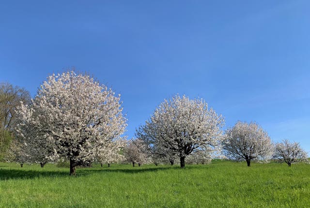 Foto: Margrit Freudemann