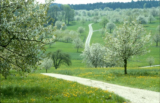 Im Jahr 1990. Foto: Urs Berger