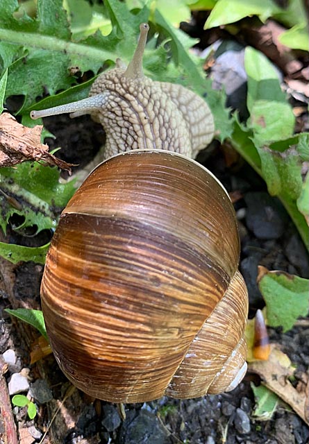 Foto: Margrit Freudemann