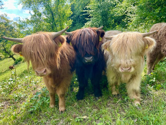 Foto: Davide Magliocca, Reinach BL