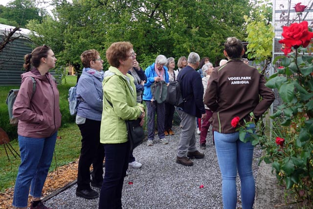 Christkatholischen Frauenverein besucht Vogelpark Ambigua
