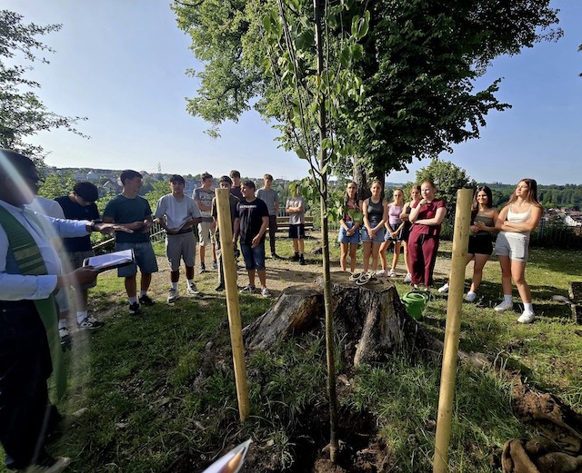 Laufenburg: Firmtreffen mit Baumpflanzung