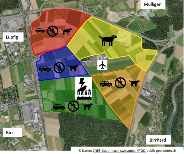 In der Umfrage gaben Landwirte an, wo sie von Problemen mit wildem Parkieren (Autosymbol), Littering (Abfallverbot) und von Hunden in ihren Kulturen (Hundesymbol) betroffen sind. Einzig der offizielle Parkplatz und die Infrastruktur beim Flughafen verschafft der Landwirtschaft etwas Linderung. Die Feldlerche ist im ganzen Gebiet unter Druck mit einem besonderen Hotspot in der südöstlichen Ecke. Foto: zVg