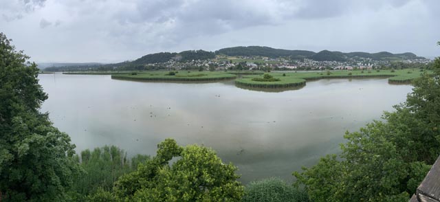 Schutzgebiet Klingnauer Stausee mit Wasser- und Watvögel. Foto: © Kanton Aargau