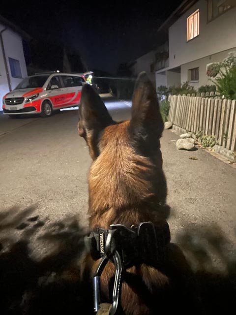 Diensthund «Naruk» spürt mutmassliche Diebe auf. Foto: Polizei Aargau 