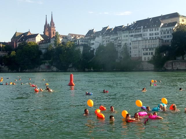 Geschätzt waren mehr als 4500 Teilnehmende beim «Rhyschwum» 2024 mit dabei. Die Strecke wurde zumeist mit Schwimmsäcken und Wickelfischen absolviert. Foto: zVg