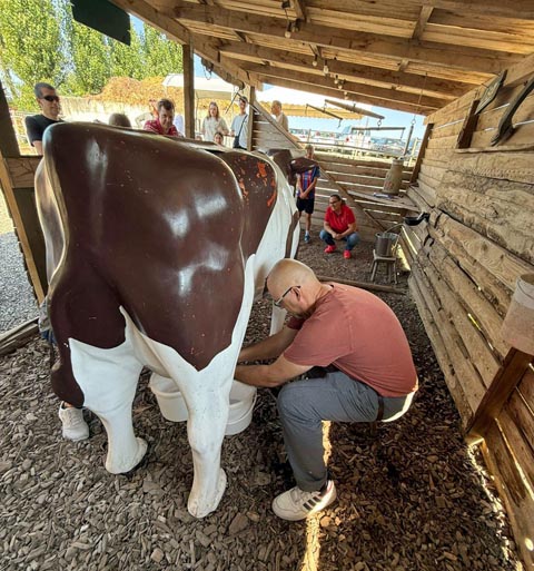 Beim Melken der geduldigen Kuh Lisa war Fingerspitzengefühl gefragt. Foto: zVg