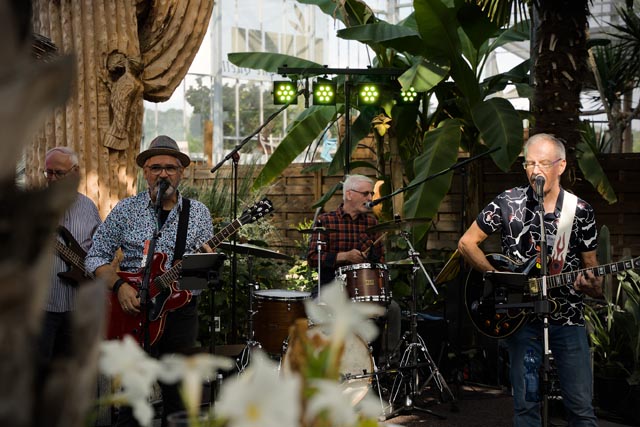 Die Band «18strings» sorgte für eine ausgelassene Stimmung. Foto: zVg