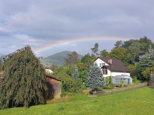 Foto: Olivia Di Marco, Frick