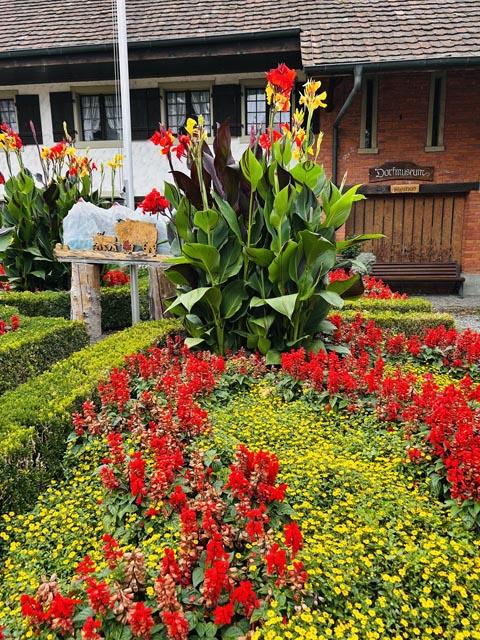 Heilmittel wie zu Grossmutters Zeiten selber herstellen im Melihus. Foto: Iva Fromm