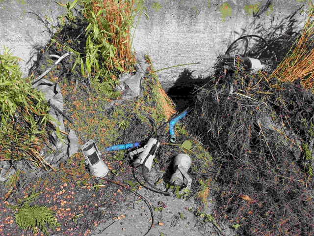 Ein grosses Ärgernis: Plastik – oder wie im Bild – Elektroschrott – haben im Grüngut nichts zu suchen.. Foto: Dieter Deiss