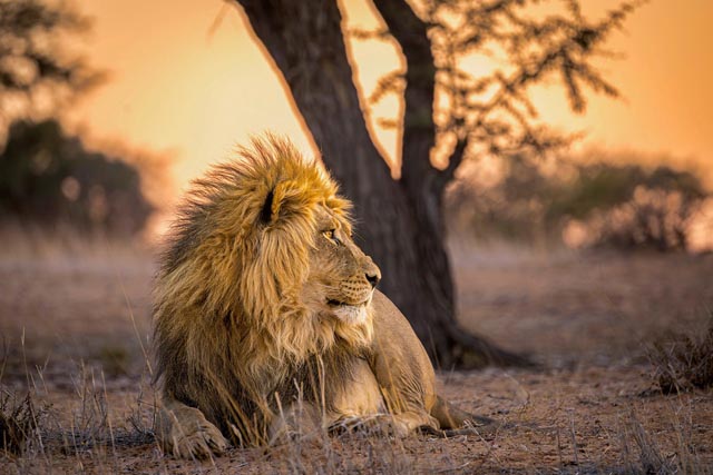 Die Referentin zeigte eindrückliche Bilder. Foto: Daniela Lüscher