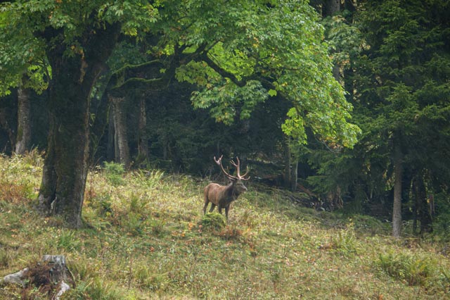 Foto: Jackie Venzin, Kaisten 
