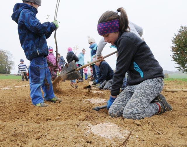 Beispiel Heckenpflanzung. Foto: zVg