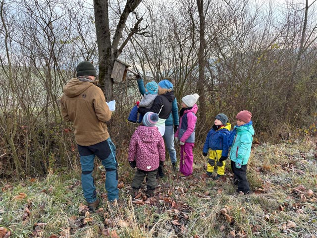 Spannendes gab es in den Nistkästen zu entdecken.