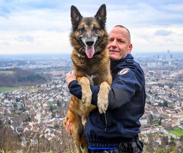 iensthund «Gio» Gordon vom Grafenfels. Foto: Polizei BL