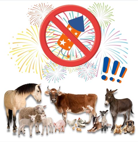 Viele Tiere haben Angst vor der Silvesterknallerei. Bild: sust   