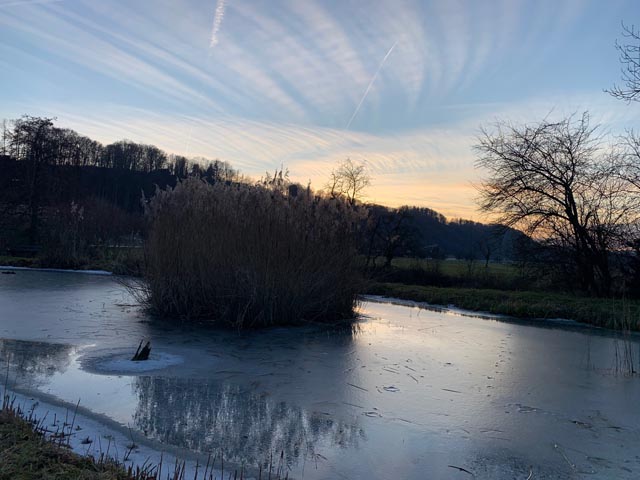  Foto: Margrit Freudemann, Kaisten