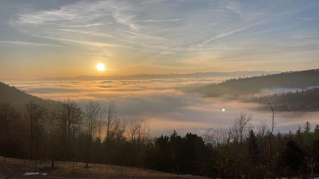 Foto: Nicole Hübner