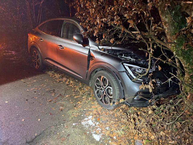 Selbstunfall in Widen. Foto: Polizei Aargau&nbsp;