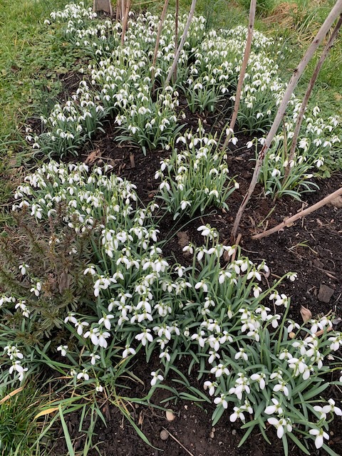 Foto: Margrit Freudemann, Kaisten