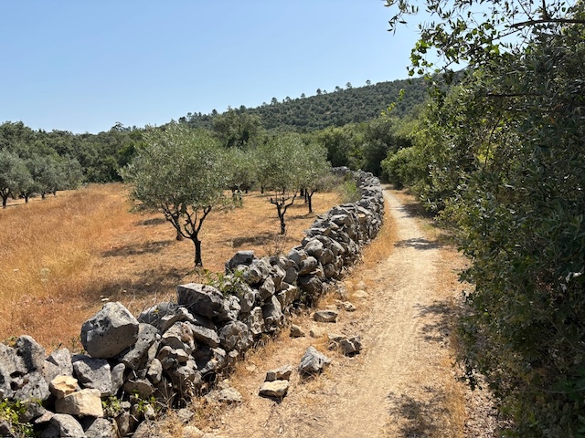 Einsame Landschaften im Landesinneren. Foto: Fritz Kammermann