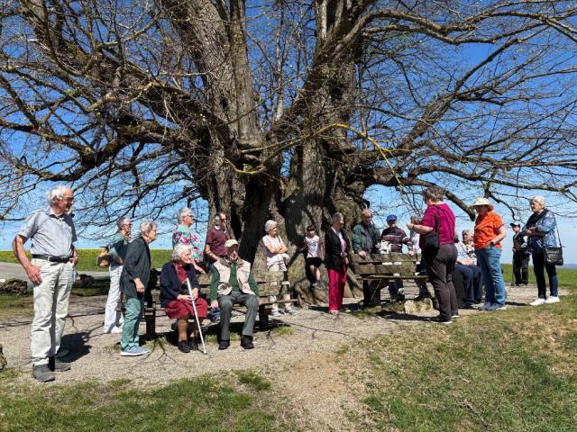 Zwischenhalt beim mächtigsten Baum des Aargaus. Foto: zVg
