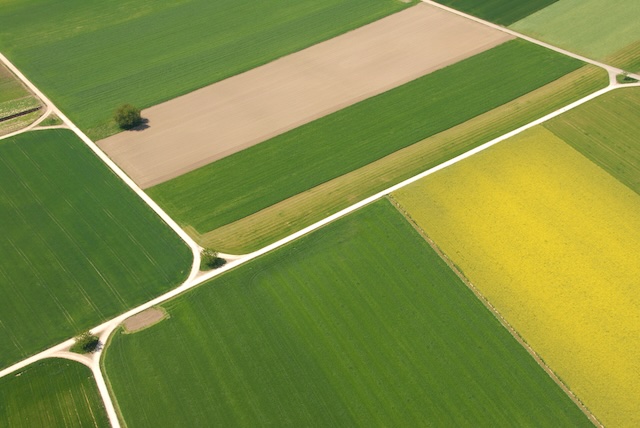 Symbolbild einer Fruchtfolgefläche. Foto: © GerryThönen