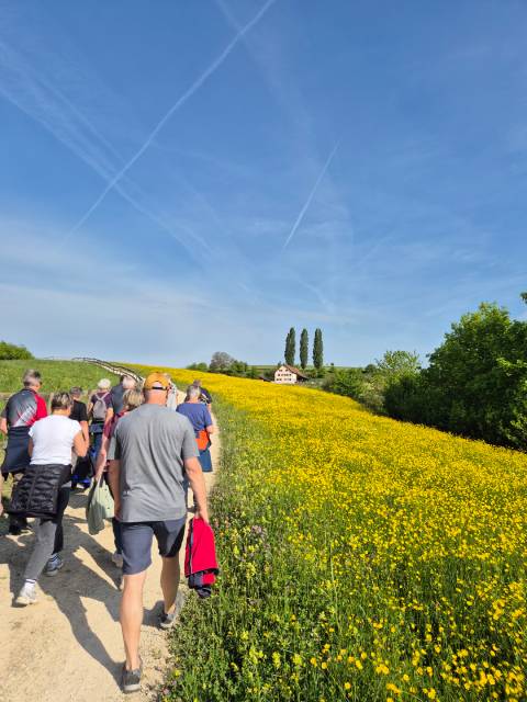 Auf dem Weg zum Wendelhof: Die Gruppe des MTV Gipf-Oberfrick geniesst die Wanderung durch die Frühlingslandschaft.