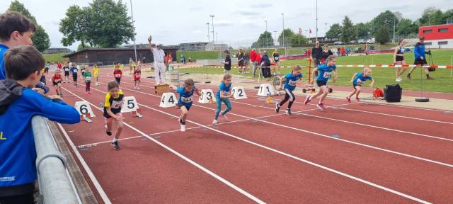 In der Kategorie U10 Frauen standen 10 Steiner Mädchen am Start. Hier der Start der zweiten Serie über 60m. Foto: zVg