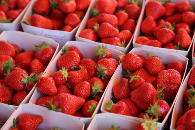 Reich an Vitamin C und intensiv im Aroma: Schweizer Erdbeeren. Foto: lid