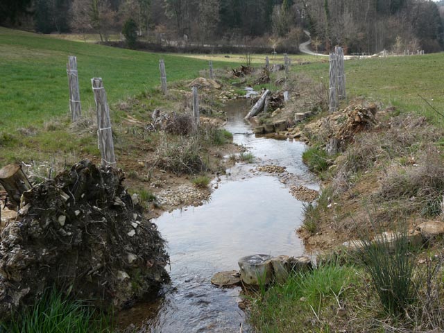 Das renaturierte Sagimühlital zwischen Linn und Effingen. Foto: Max Gasser