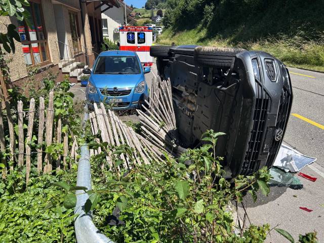 Mittelschwere Verletzungen erlitt der Fahrer des Unfallwagens.