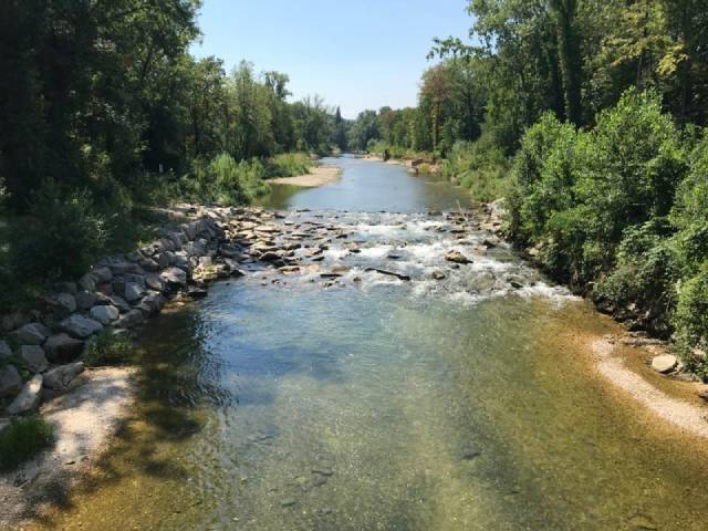 An der Birs herrscht ab sofort Bade- und Betretungsverbot. Foto: zVg