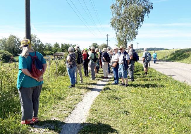 Mitglieder von sieben Fricktaler Naturschutzvereinen gingen auf Exkursion und besuchten unter anderem das Neeracherriet.