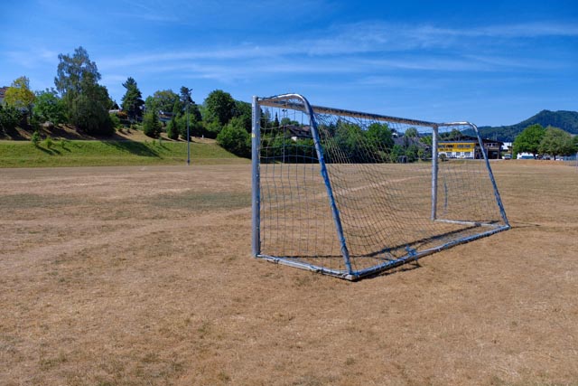 Die anhaltende Hitze in Kombination mit fehlendem Regen lässt die Natur regelrecht verdorren. Hier: Sportfeld der Schulen Ebnet in Frick. Foto: Bianca Kühweidner, Frick