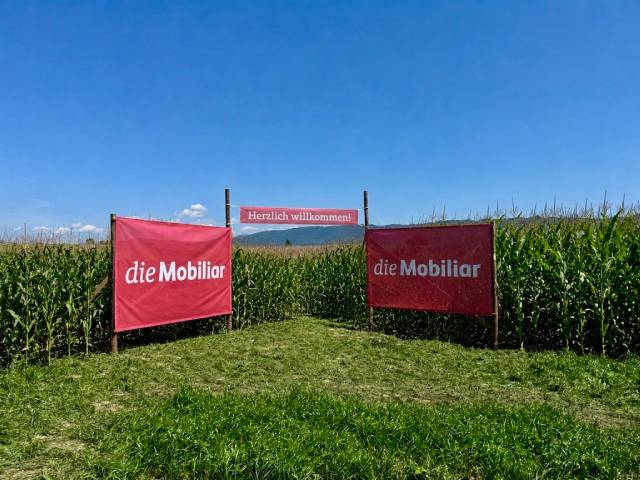 Impressionen von dem Maisfeld-Labyrinth, organisiert von der Mobiliar Generalagentur Rheinfelden/Frick und dem Eichhof Zeiningen