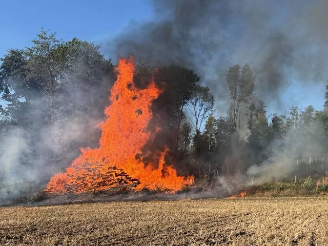 Eindrücke vom Brand